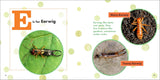 ABC Bug Book for Kids
