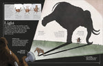 Mammoth Science: The Big Ideas That Explain Our World by David Macaulay (DK)