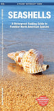 Seashells: A Folding Pocket Guide to Familiar North American Species