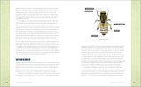 Backyard Beekeeping: Everything You Need to Know to Start Your First Hive by David and Sheri Burns