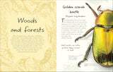 An Anthology of Beetles: A Collection of Brilliant Beetles from Around the World (DK Little Anthologies) by Richard Jones