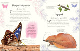 An Anthology of Butterflies and Moths: A Collection from Around the World (DK Little Anthologies) by Richard Jones