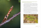 The Wonder of Moths: Deception and Survival of Nature's Most Important Insects by Douglas W. Tallamy