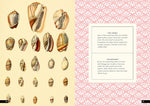 The Little Book of Shells: A Guide to Shells and the Amazing Creatures Who Make Them (Little Library of Natural History #5)
