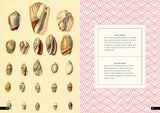 The Little Book of Shells: A Guide to Shells and the Amazing Creatures Who Make Them (Little Library of Natural History #5)