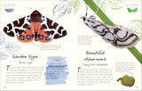 An Anthology of Butterflies and Moths: A Collection from Around the World (DK Little Anthologies) by Richard Jones