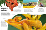 Eyewonder Reptiles: Open Your Eyes to a World of Discovery (Eye Wonder)