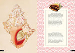 The Little Book of Shells: A Guide to Shells and the Amazing Creatures Who Make Them (Little Library of Natural History #5)