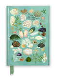 Beachcombing Foiled Journal (Flame Tree Notebooks)