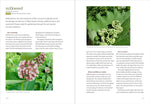 Midwest Foraging: 115 Wild and Flavorful Edibles from Burdock to Wild Peach by Lisa M Rose