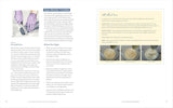 The Natural Soap Making Book for Beginners: Do-It-Yourself Soaps Using All-Natural Herbs, Spices, and Essential Oils by Kelly Cable