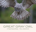 Great Gray Owl: A Visual Natural History by Paul Bannick