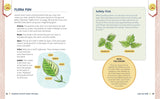 Camping Activity Book for Kids: 35 Fun Projects for Your Next Outdoor Adventure by Amelia Mayer