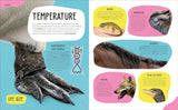 The Animal Body Book: An Insider's Guide to the World of Animal Anatomy (DK)