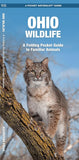 Ohio Wildlife: A Folding Guide to Familiar Animals