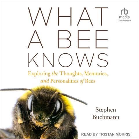 What a Bee Knows: Exploring the Thoughts, Memories, and Personalities of Bees by Stephen Buchmann
