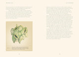 Forty Ways to Know a Tree: Exploring Trees to Understand Nature by Joan Maloof