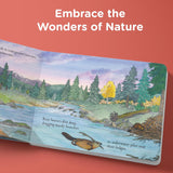 When Fall Comes: Connecting with Nature as the Days Grow Shorter by Aimee M. Bissonette