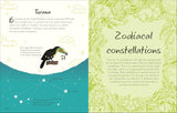 An Anthology of Stargazing:A Collection of Stars and Constellations (DK Little Anthologies)