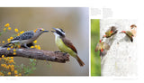 Woodpecker: A Year in the Life of North American Woodpeckers by Paul Bannick