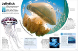 Eyewonder Oceans: Open Your Eyes to a World of Discovery (Eye Wonder)