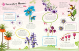 Ultimate Sticker Book Garden Flowers: New Edition with More Than 250 Stickers