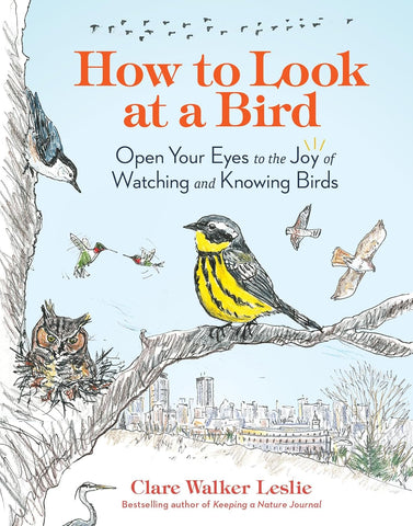 How to Look at a Bird: Open Your Eyes to the Joy of Watching and Knowing Birds by Clare Walker Leslie
