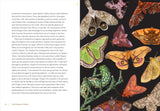 The Wonder of Moths: Deception and Survival of Nature's Most Important Insects by Douglas W. Tallamy