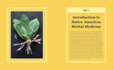 A Beginner's Guide to Native American Herbal Medicine: 75 Natural Remedies for Wellness and Balance by Angela Locklear Queen