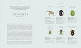 Insects: Discover the Science and Secrets Behind the World of Insects by DK