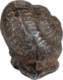 Cast Iron Snail, Rust Finish