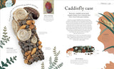 Nature's Treasures: Tales of More Than 100 Extraordinary Objects from Nature (DK Treasures)