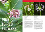 Wildflowers of the Midwest (Timber Press Field Guide) by Micheal Homoya & Scott Namestnik