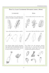 Ecological Guide to the Mosses and Common Liverworts by Sue Alix Williams