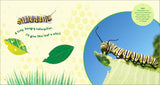The Backyard Bug Book for Kids: Storybook, Insect Facts, and Activities (Little Scientists Learn) by Lauren Davidson
