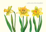 A Blessing for Spring's Child by Peter Hinckley