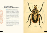 The Little Book of Insects: A Guide to Beetles, Flies, Ants, Bees, and More (Little Library of Natural History #2)