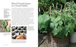 Grow Your Own Food: 35 Ways to Grow Vegetables, Fruits, and Herbs in Containers