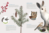 The Forest Revealed: An Illustrated Year by Jada Fitch & Kateri Kosek