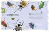 An Anthology of Remarkable Bugs (DK Children's Anthologies)