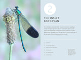How Insects Work: An Illustrated Guide to the Wonders of Form and Function - From Antennae to Wings (How Nature Works) by Marianna Taylor