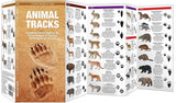 Animal Tracks: A Folding Pocket Guide to the Tracks & Signs of Familiar N.A. Species