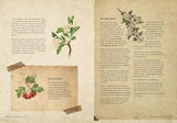 The Time Traveller's Herbal: An Historical Handbook for the Budding Apothecary