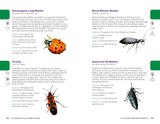 My Awesome Field Guide to Bugs: Find and Identify Your Crawling and Flying Bugs