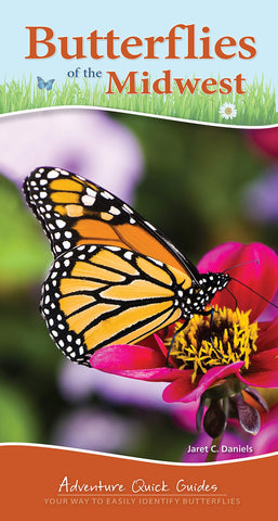 Butterflies of the Midwest: Your Way to Easily Identify Butterflies (Adventure Quick Guides)