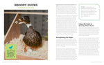 Raising Ducks for Beginners and Beyond: The Guide to Breeds, Ponds, Nutrition, and All Things Duck by Kristine Ellis