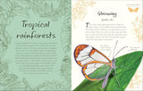 An Anthology of Butterflies and Moths: A Collection from Around the World (DK Little Anthologies) by Richard Jones