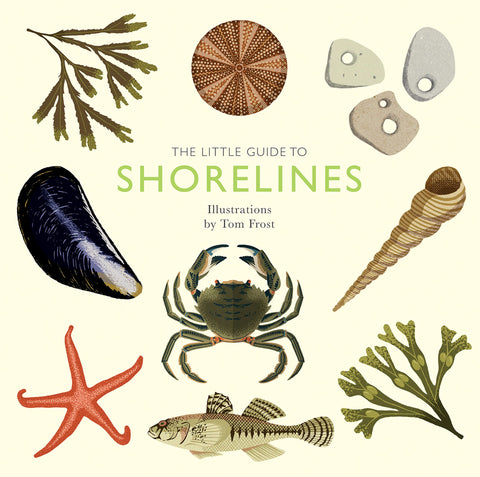 The Little Guide to Shorelines (Little Guides) by Alison Davies