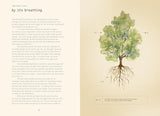 Forty Ways to Know a Tree: Exploring Trees to Understand Nature by Joan Maloof