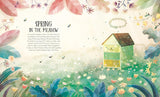Diary of a Bee (Little Heroes 1) by Stepanka Sekaninova
